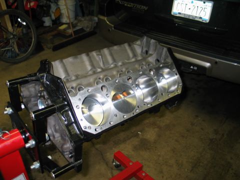 1981 Chevrolet Corvette “Dad's 1981 Vette”