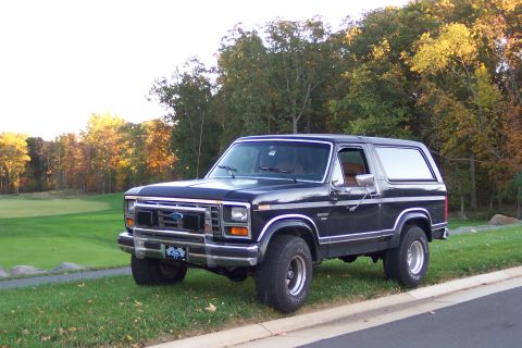 1986 Ford Bronco - This 1986 Ford Bronco is captured in a three-quarter front view, parked on a grassy area with autumn foliage visible.