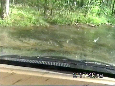 1988 Ford Bronco - Interior view of a 1988 Ford Bronco navigating through a shallow body of water.