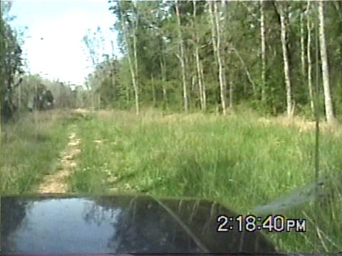 1988 Ford Bronco - View from inside a vehicle driving on a grassy, off-road path through a wooded area.