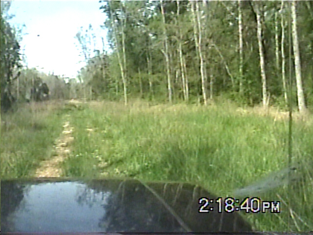 Dashboard view of off-road path with trees and grass. Timestamp 2:18:40 PM