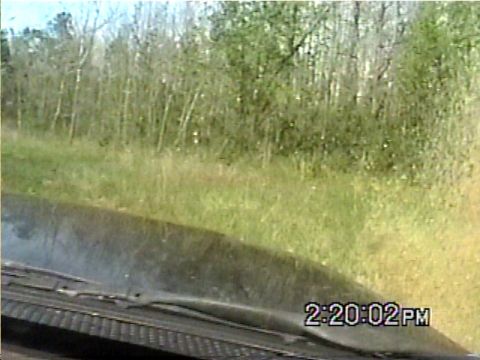 1988 Ford Bronco - The camera captures a view from the dashboard, looking out at a natural landscape with trees and grass.