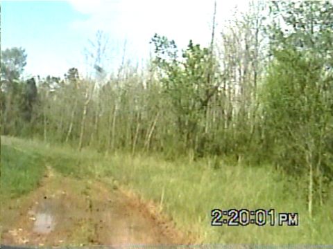 1988 Ford Bronco - A muddy track leads through a field of grass and trees, with a timestamp and website visible.