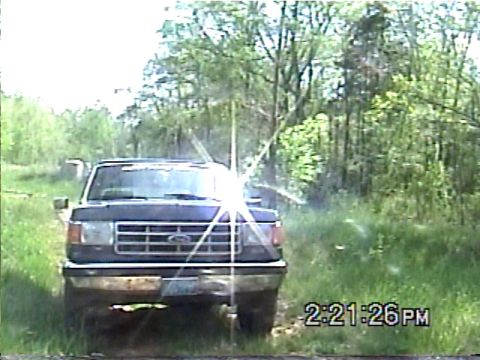 1988 Ford Bronco - A Ford F-Series truck is seen from the front, parked off-road with trees and grass surrounding it.