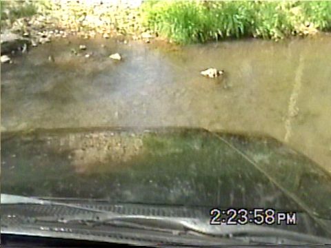 1988 Ford Bronco - View from inside an SUV as it drives through a shallow body of water with rocks and vegetation.