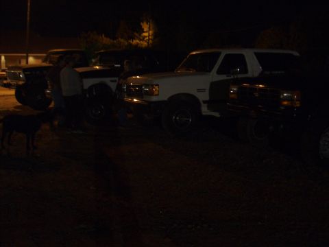 1996 Ford Bronco - Several Ford Broncos are parked together at night, with a dog in the foreground.