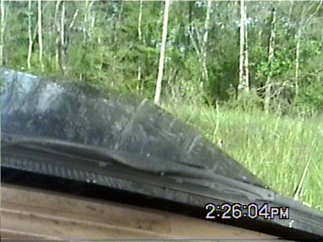 Windshield and dashboard of a vehicle with a timestamp overlay