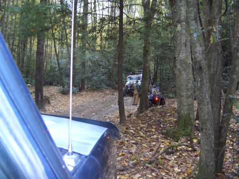 1996 Ford Bronco - Several off-road vehicles navigate a wooded trail during the autumn season when leaves are falling.
