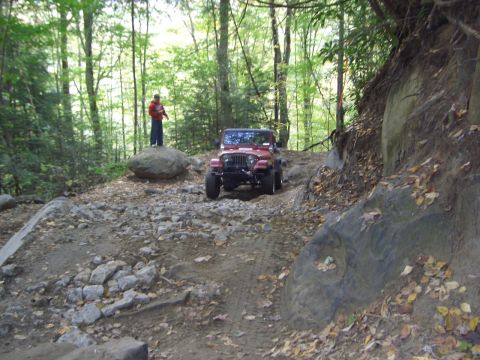 1996 Ford Bronco - A red Jeep Wrangler navigates a challenging, rocky trail through a dense forest.