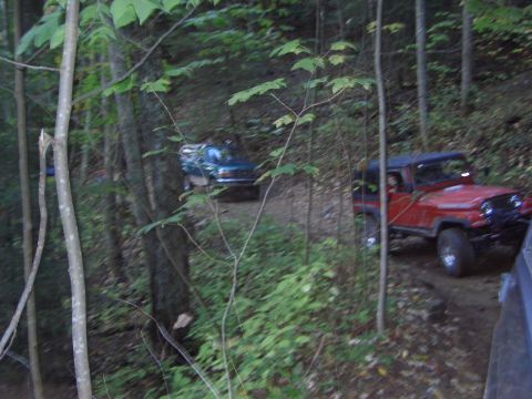 1996 Ford Bronco - Multiple vehicles navigate a wooded trail, with a red Jeep in the foreground and a blue SUV further up the path.