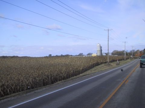 1993 Ford Bronco - A green pickup truck travels down a road bordered by a vast cornfield under a cloudy sky.