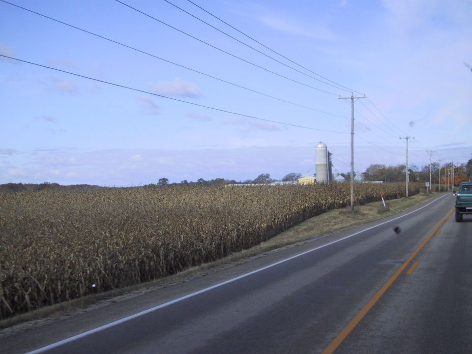 Green pickup truck driving on a rural road next to a cornfield