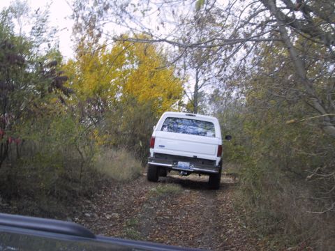 1993 Ford Bronco - A 1993 Ford Bronco navigates a wooded path during autumn.