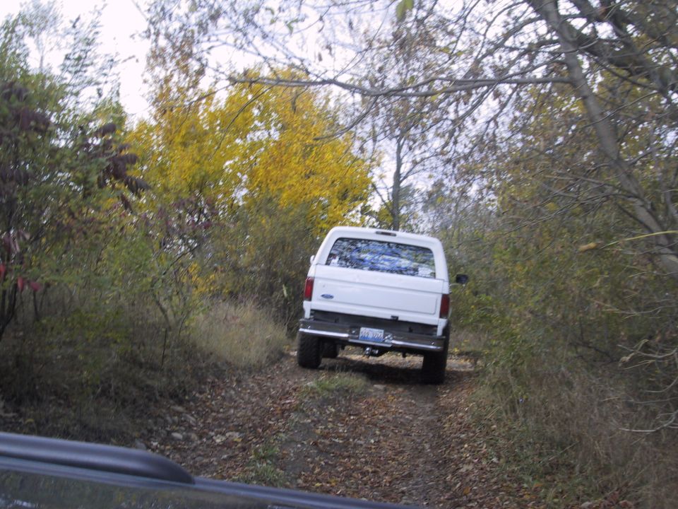 White Ford Bronco on a dirt road with fall foliage