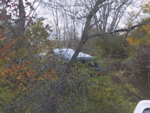 1993 Ford Bronco - A vehicle is entangled in tree branches amidst autumn foliage.