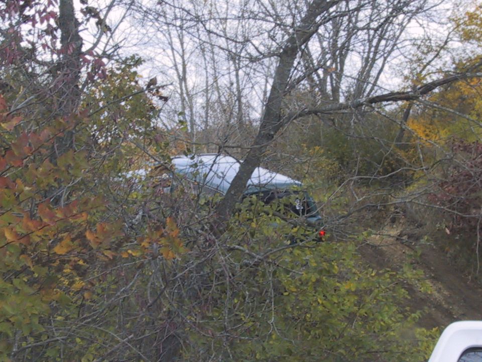 SUV is partially hidden by trees and foliage, with its front end angled towards the viewer