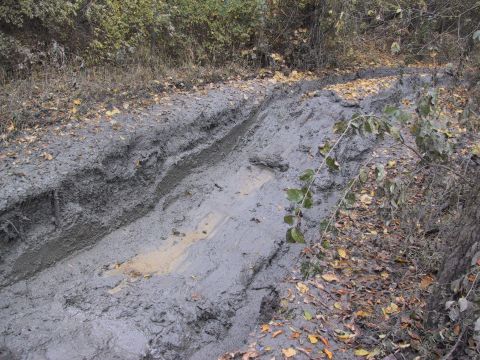 1993 Ford Bronco - A muddy track with deep ruts suggests a vehicle has driven through this off-road area.