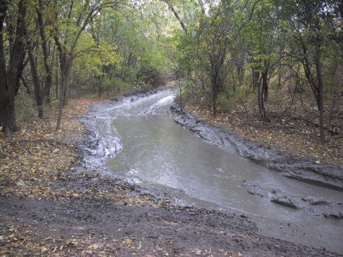 1993 Ford Bronco - A muddy forest road with fallen leaves and a large puddle suggests off-road conditions.