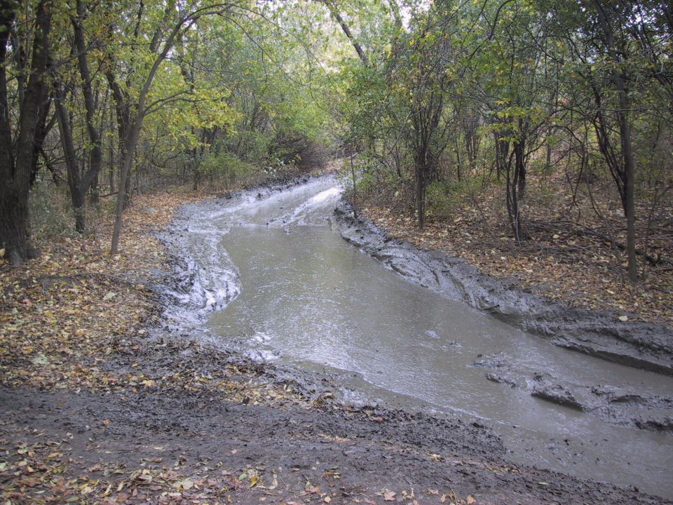 Muddy forest road with a large puddle and tire tracks