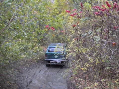 1993 Ford Bronco - A green SUV drives through a muddy trail surrounded by trees with autumn leaves.