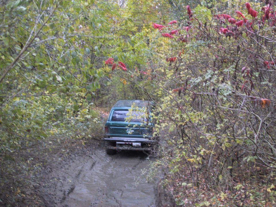 Green SUV navigating a muddy path through dense foliage