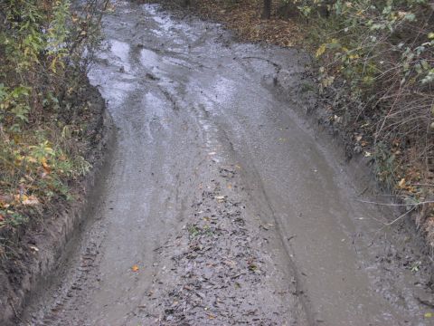 1993 Ford Bronco - A muddy road shows tire tracks from a vehicle navigating through a wooded area.