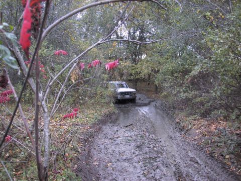 1993 Ford Bronco - White SUV driving through mud on a forest path.