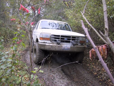 1993 Ford Bronco - click pic it will show up after you click