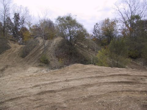 1993 Ford Bronco - Off-road terrain with tire tracks on a dirt hill, surrounded by trees.