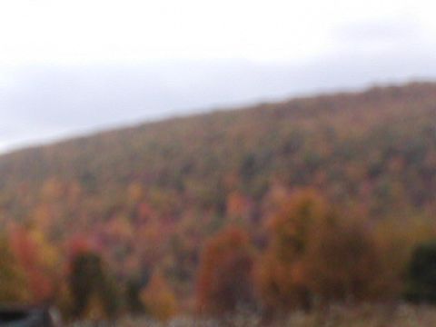 1979 Ford Bronco II - Autumn foliage covers a hillside under an overcast sky, with a Supermotors watermark in the lower right corner.
