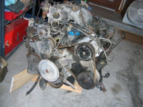 1992 Ford Bronco - The 351 on the ground in my garage, it will sit here until I get around to putting it up on an engine stand.