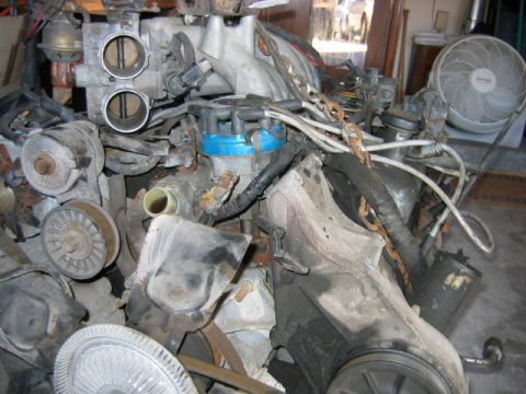 1992 Ford Bronco - As you can see the motor is filthy, the water pump, distributor, and pretty much everything will need to be replaced.