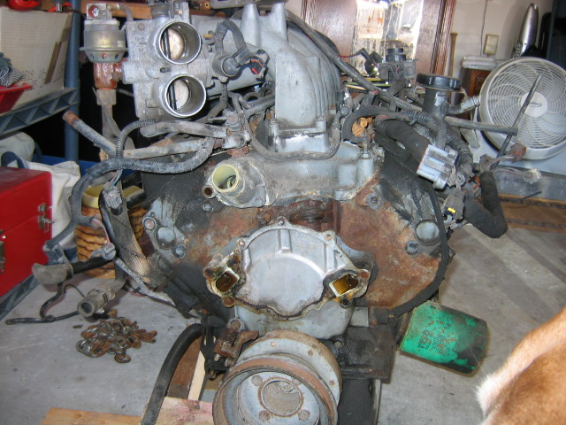 Water pump and brackets removed.