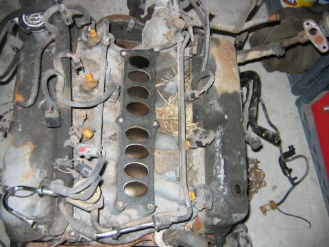 1992 Ford Bronco - Upper intake removed. Looks like something made a nest in there, probably a rat, or someother kind of rodent.