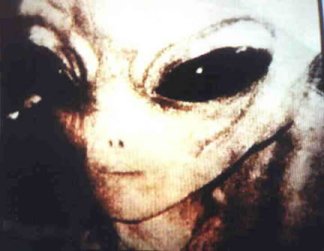 1993 Ford Bronco - This image shows a close-up of an alien's head with distinctive features.
