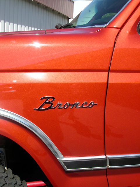 1984 Ford Bronco - Had to add a little of the classic bronco feel to it, so i nailed these babies to the side.