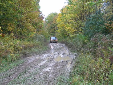 1995 Ford Bronco - A brown Ford Bronco navigates a challenging muddy road through an autumn forest.
