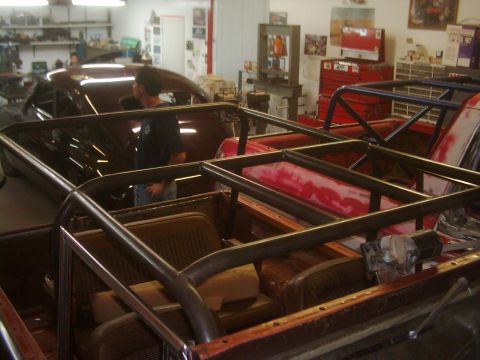 Early Bronco Family cage project