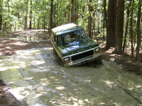 1978 Ford Bronco - This 1978 Ford Bronco tackles a challenging muddy path through a wooded area.