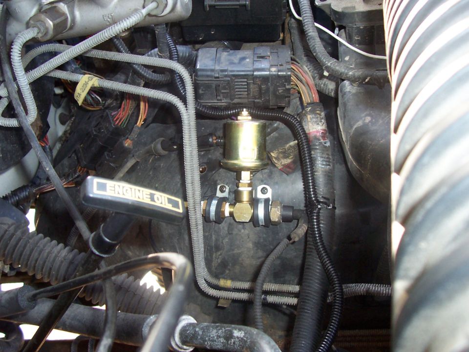 Gold oil pressure sender on a brass tee near the ENGINE OIL dipstick handle