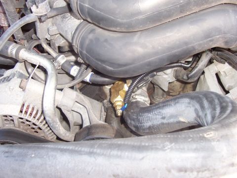 1994 Ford Bronco - Close-up view of a brass fitting installed in an engine bay, surrounded by hoses and engine components.