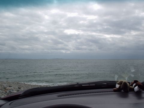 1998 Ford Taurus - Dashboard view of the ocean on a cloudy day, with stuffed animals for company.