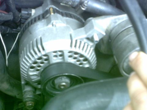 1992 Ford Bronco - Close-up view of a vehicle's alternator and drive belt within the engine bay.