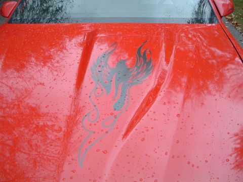 1989 Ford Crown Victoria LTD - Close up