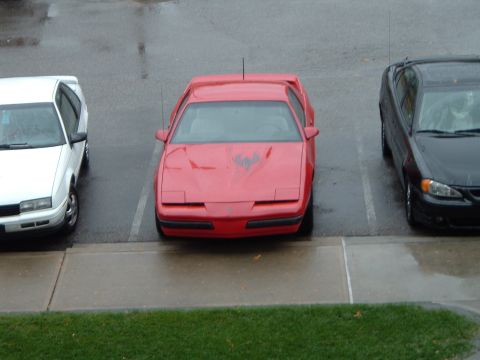 1989 Ford Crown Victoria LTD - From my room