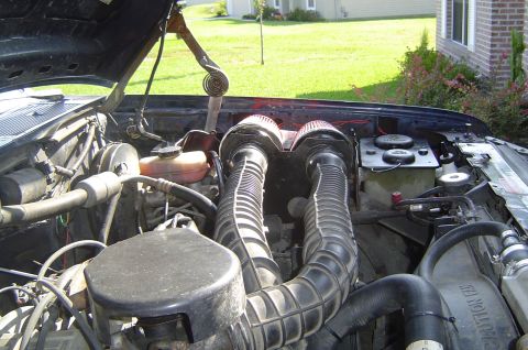 1993 Ford Bronco - Engine bay with dual air intake system and visible engine components under the hood.