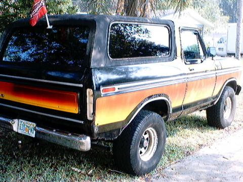 1979 Ford Bronco - Rear view of a 1978 Ford Bronco with a distinctive stripe pattern and a flag.