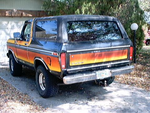 1979 Ford Bronco - Rear view of a 1979 Ford Bronco, showing its distinctive stripe and chrome bumper.