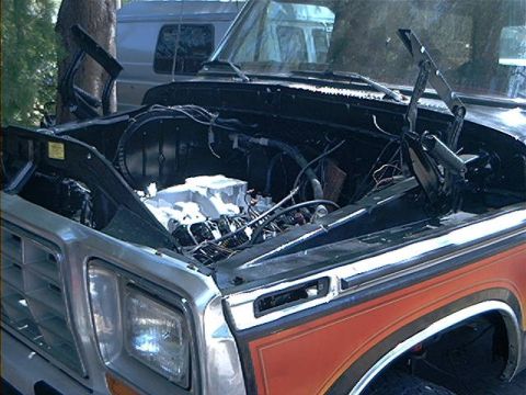 1979 Ford Bronco - The engine bay of a Ford truck is open, revealing the engine and various components.
