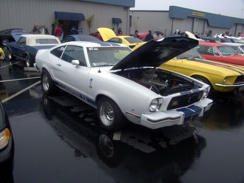 1978 Ford Mustang II - A white 1977 Ford Mustang II coupe with blue racing stripes and a cobra emblem is displayed with its hood open at an outdoor car show.
